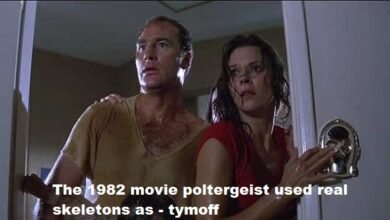 the 1982 movie poltergeist used real skeletons as - tymoff