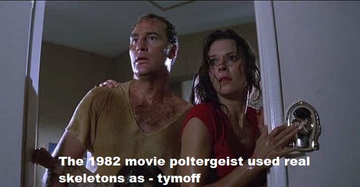 the 1982 movie poltergeist used real skeletons as - tymoff