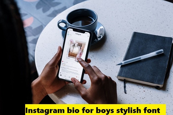 instagram bio for boys stylish font